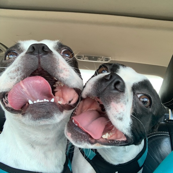 Meet your Posher, Lisa - Picture 3 of 5